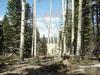 Lot 335 AF Chalets 2C Amended